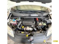 Fiat PANDA PANDA | MUGAVERO ANTONIO & FIGLI SRL