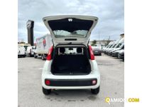 Fiat PANDA PANDA | MUGAVERO ANTONIO & FIGLI SRL