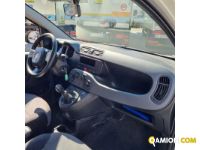 Fiat PANDA panda | MUGAVERO ANTONIO & FIGLI SRL