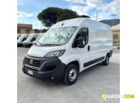 Fiat DUCATO DUCATO | MUGAVERO ANTONIO & FIGLI SRL