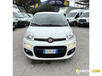 Fiat PANDA PANDA | MUGAVERO ANTONIO & FIGLI SRL