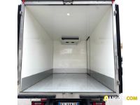 Iveco DAILY 35S14 | MUGAVERO ANTONIO & FIGLI SRL