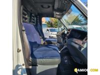Iveco DAILY daily 35-180 | MUGAVERO ANTONIO & FIGLI SRL