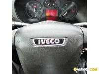 Iveco DAILY daily 65c15 | MUGAVERO ANTONIO & FIGLI SRL
