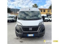 Fiat DUCATO DUCATO | MUGAVERO ANTONIO & FIGLI SRL