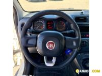 Fiat PANDA PANDA | MUGAVERO ANTONIO & FIGLI SRL