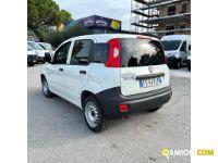 Fiat PANDA PANDA | MUGAVERO ANTONIO & FIGLI SRL