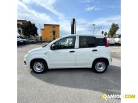 Fiat PANDA PANDA | MUGAVERO ANTONIO & FIGLI SRL
