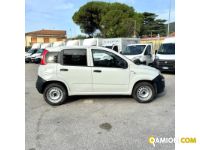 Fiat PANDA PANDA | MUGAVERO ANTONIO & FIGLI SRL