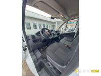 FIAT** DUCATO | Altro Altro | Luigi Bacchi IVECO