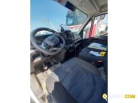 IVECO** 35S16V | Altro Altro | Luigi Bacchi IVECO