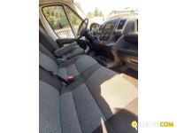 FIAT** DUCATO | Altro Altro | Luigi Bacchi IVECO