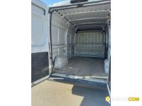FIAT** DUCATO | Altro Altro | Luigi Bacchi IVECO