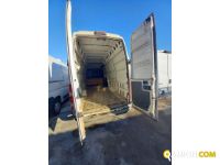 IVECO** 35S15V | Altro Altro | Luigi Bacchi IVECO