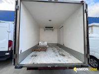 IVECO** 35C12 | Altro Altro | Luigi Bacchi IVECO