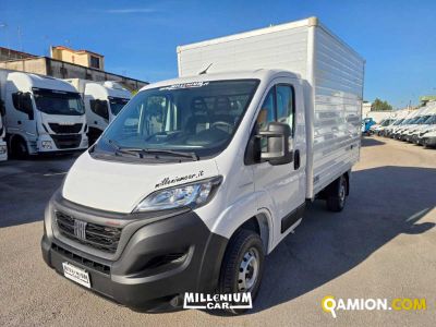 Fiat DUCATO ducato