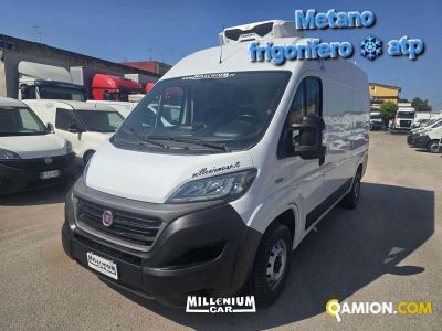 Fiat DUCATO DUCATO