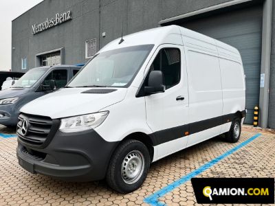 Sprinter