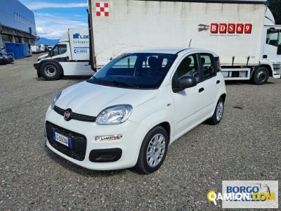 Fiat PANDA PANDA