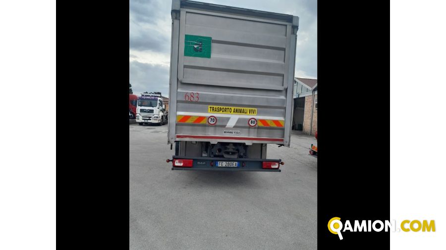 Daf Mod. DAF Vers. DAF | Motrice Cassone fisso | INDUSTRIAL CARS S.P.A