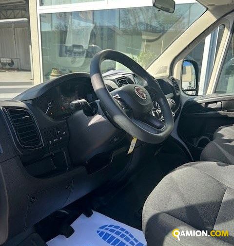 Fiat Mod. FIAT Vers. FIAT | Leggero Cabinato <= 35 q.li Cassone fisso | INDUSTRIAL CARS S.P.A