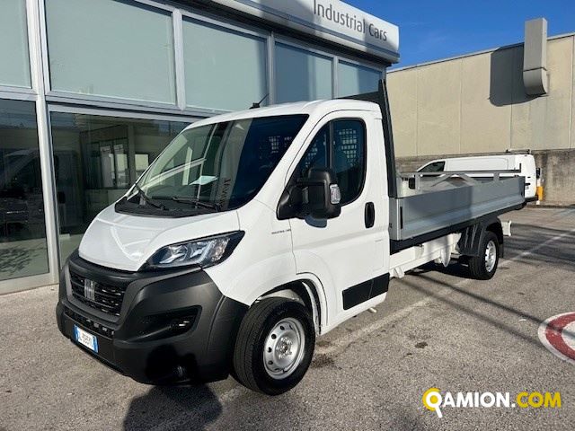 Fiat Mod. FIAT Vers. FIAT | Leggero Cabinato <= 35 q.li Cassone fisso | INDUSTRIAL CARS S.P.A