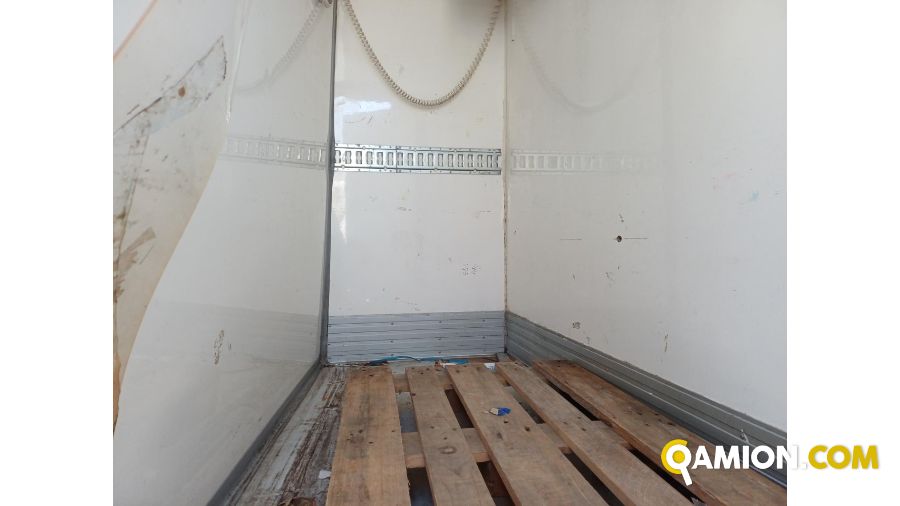 Iveco DAILY 60C15 DAILY 60C15 Altro | Iveco Orecchia