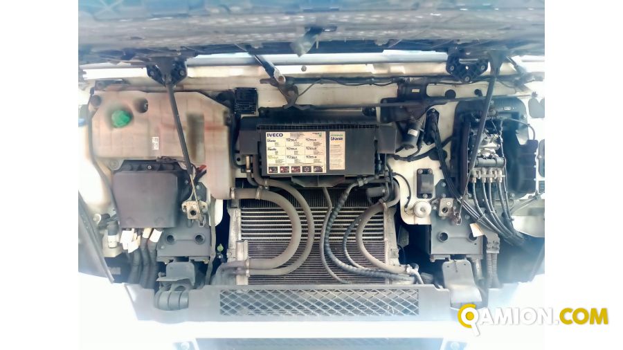 Iveco STRALIS AS440S46T/P STRALIS AS440S46T/P | Altro Altro | Iveco Orecchia