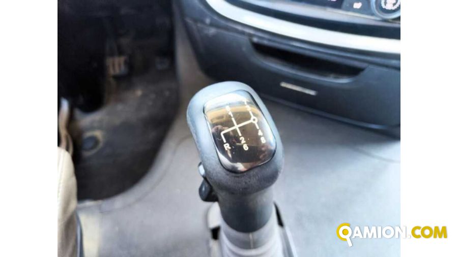 Iveco AS260S56Y/PS TRASPORTO ANIMALI AS260S56Y/PS TRASPORTO ANIMALI Altro | Milano Industrial S.P.A.