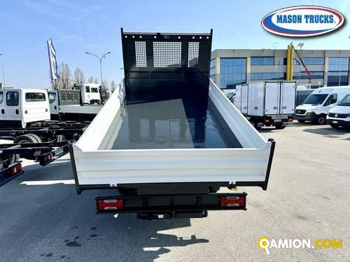 Iveco DAILY daily 50c17 | Mason Trucks