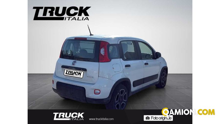 Fiat Panda III Panda van 1.0 hybrid Street 70cv 4p.ti serie 4 E6d | Altro Altro