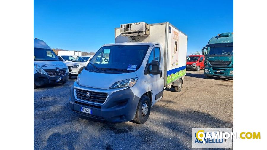 Fiat DUCATO DUCATO | Altro Isotermico / coibentato | Borgo Agnello S.p.A.