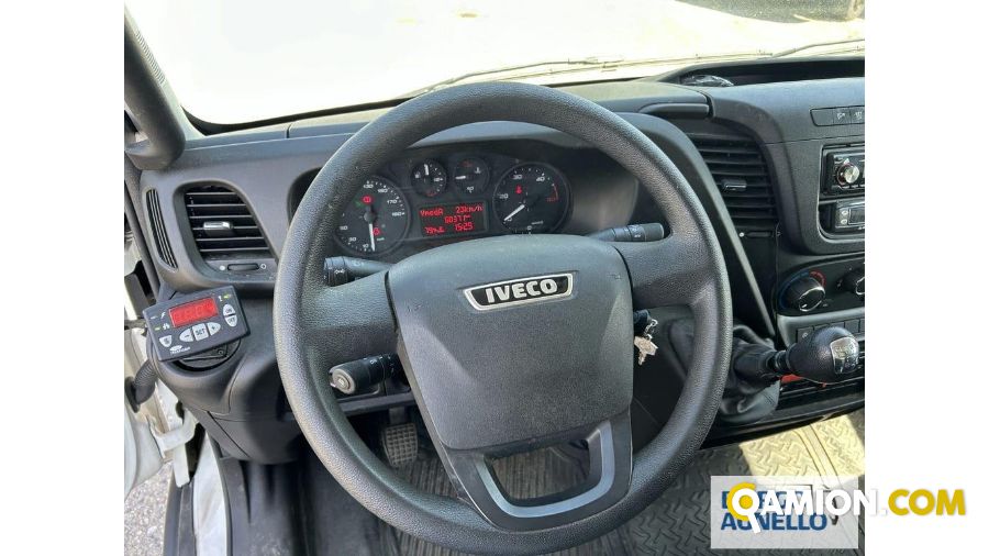 Iveco DAILY 65C15 DAILY 65C15 | Motrice Isotermico / coibentato | Borgo Agnello S.p.A.