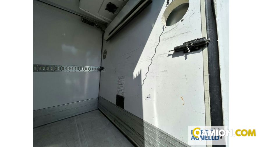 Iveco DAILY 65C15 DAILY 65C15 | Motrice Isotermico / coibentato | Borgo Agnello S.p.A.