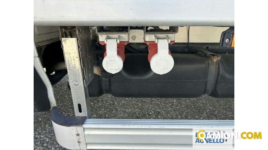 Iveco DAILY 65C15 DAILY 65C15 | Motrice Isotermico / coibentato | Borgo Agnello S.p.A.