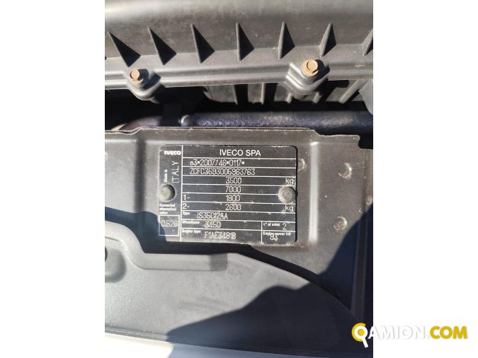 Iveco DAILY 35C13 DAILY 35C13 | PROCIDAMACCHINE S.R.L.