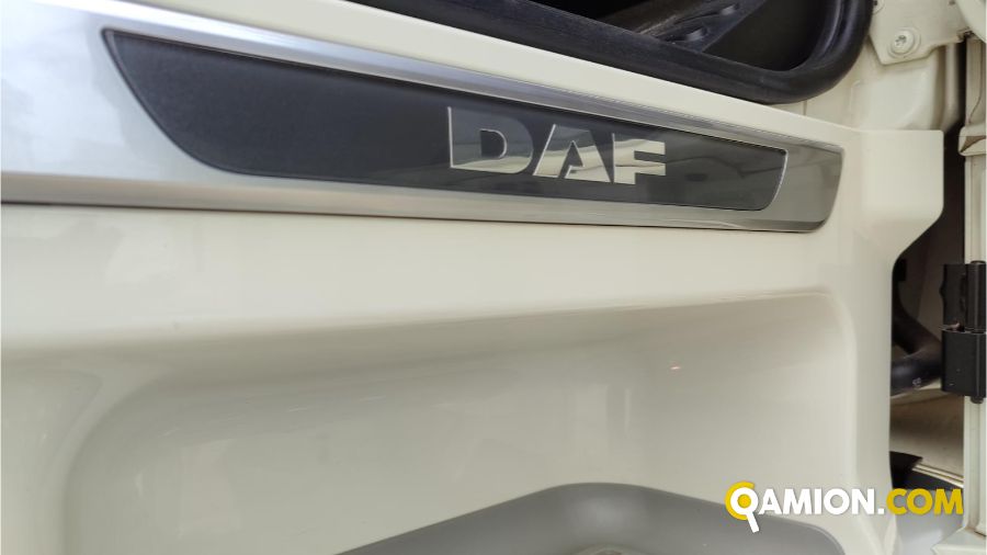 Daf XF xf480 | OVER SRL