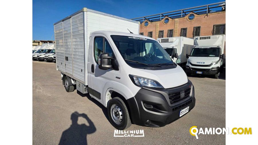 Fiat DUCATO ducato | Millenium Car