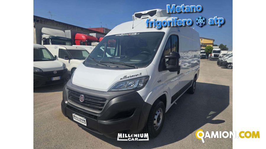 Fiat DUCATO DUCATO | Millenium Car