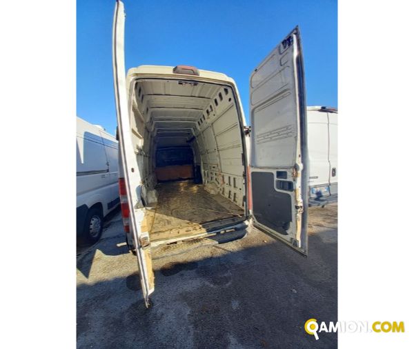 IVECO** 35S15V | Leggeri fino 35 q.li Altro | Luigi Bacchi IVECO