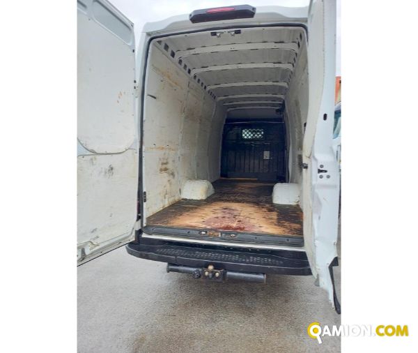 IVECO** 35C17 | Leggeri fino 35 q.li Altro | Luigi Bacchi IVECO