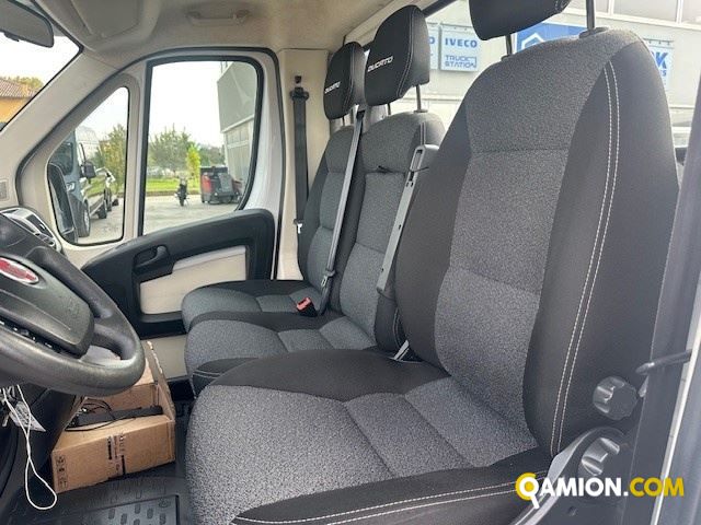 Fiat Mod. FIAT Vers. FIAT | Leggero Cabinato <= 35 q.li Telaio | INDUSTRIAL CARS S.P.A