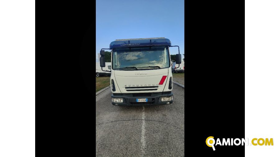 Iveco Mod. IVECO Vers. IVECO | Leggero Cabinato > 35 q.li Trasporto animali | INDUSTRIAL CARS S.P.A