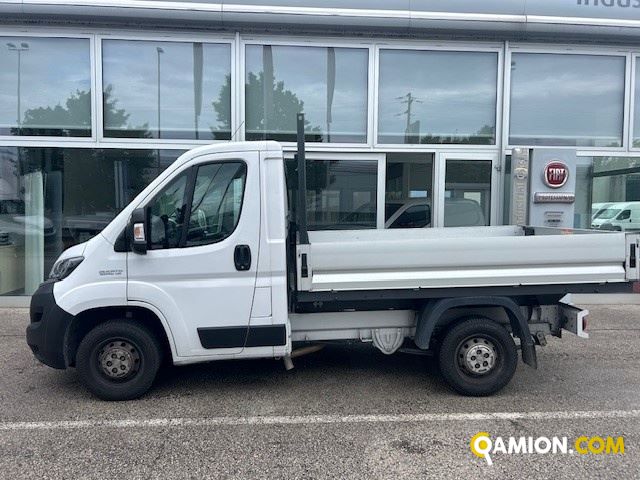Fiat Mod. FIAT Vers. FIAT | Leggero Cabinato <= 35 q.li Cassone fisso | INDUSTRIAL CARS S.P.A