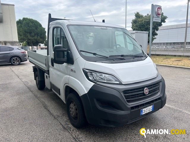 Fiat Mod. FIAT Vers. FIAT | Leggero Cabinato <= 35 q.li Cassone fisso | INDUSTRIAL CARS S.P.A