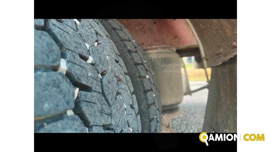 Iveco Mod. IVECO Vers. IVECO | Leggero Cabinato > 35 q.li Trasporto animali | INDUSTRIAL CARS S.P.A