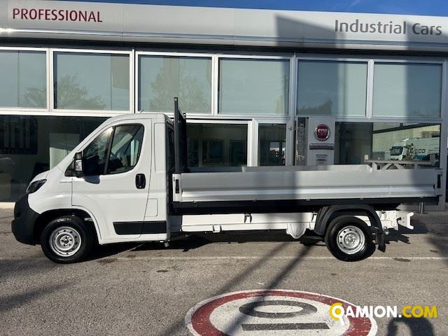 Fiat Mod. FIAT Vers. FIAT | Leggero Cabinato <= 35 q.li Cassone fisso | INDUSTRIAL CARS S.P.A