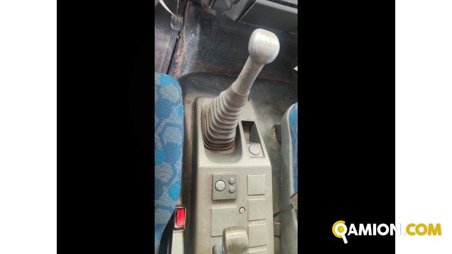 Iveco Mod. IVECO Vers. IVECO | Leggero Cabinato > 35 q.li Trasporto animali | INDUSTRIAL CARS S.P.A