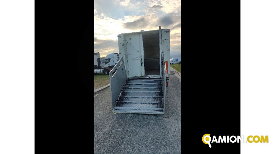 Iveco Mod. IVECO Vers. IVECO | Leggero Cabinato > 35 q.li Trasporto animali | INDUSTRIAL CARS S.P.A