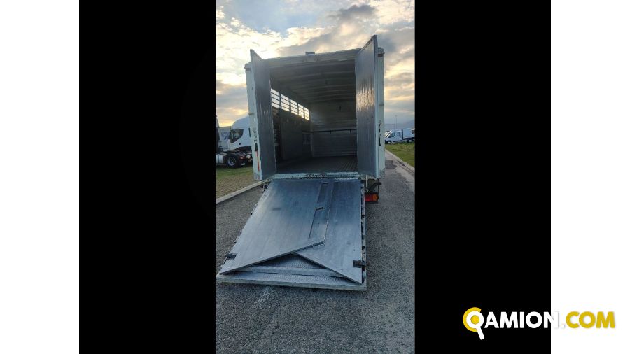 Iveco Mod. IVECO Vers. IVECO | Leggero Cabinato > 35 q.li Trasporto animali | INDUSTRIAL CARS S.P.A